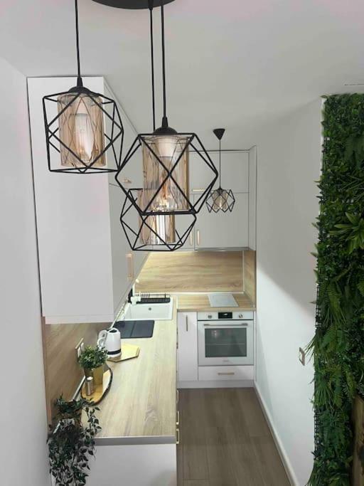 Cosy Appartement Green Life Bansko Bagian luar foto